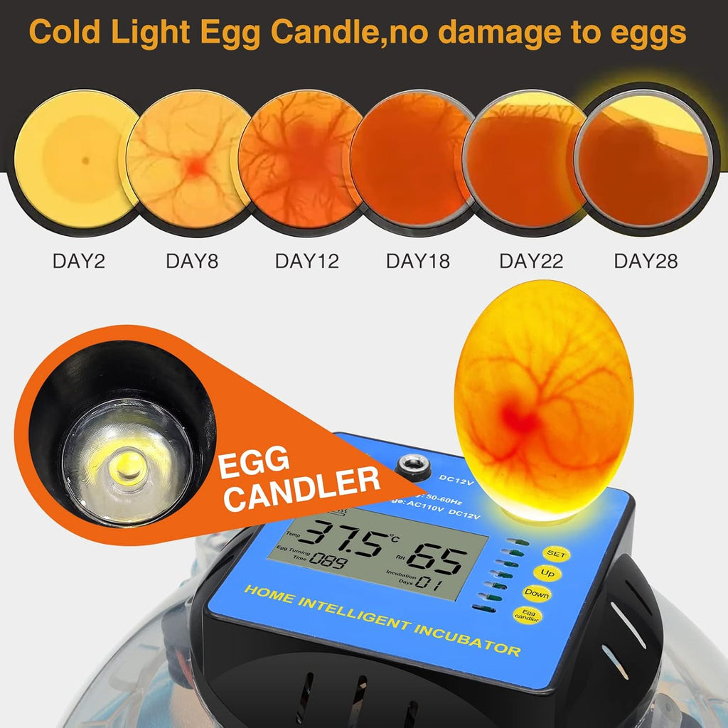 2 Pc Automatic Egg Incubator with Humidity Display G24425