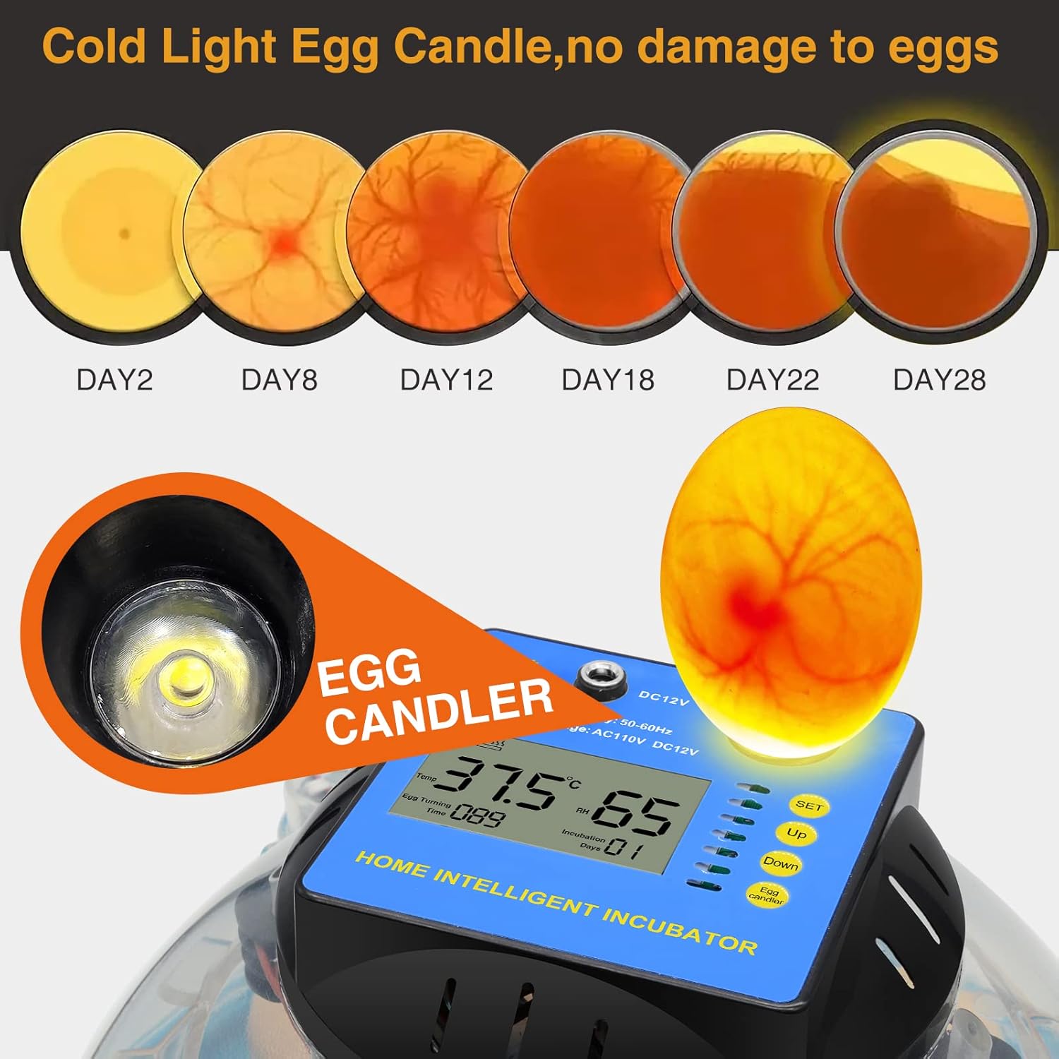 2 Pc Automatic Egg Incubator with Humidity Display G24425