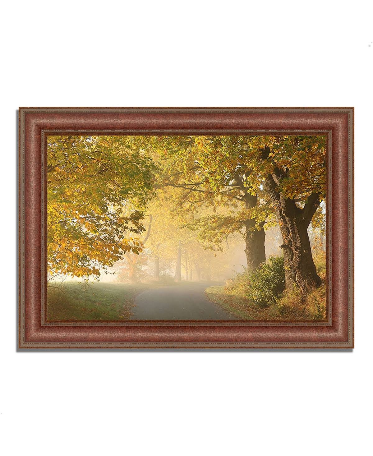 Framed Photograph Print D434