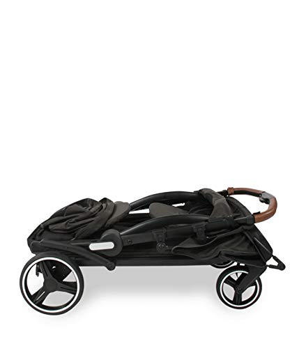 Luxury Stroller Wagon for 2 with Removable Canopy W728
